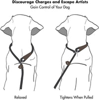 HKM-098963 Nylon Tow Rope Leash for Dogs - Durable Pull-Resistant Chain with P Chain Options in Multiple Colors