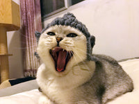 HKM-062419 Cute Knitting Wool Cat Hat for Pets - Available in Multiple Sizes