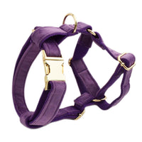 HKM-882259 Velvet Fabric Dog Collar Set with Leash, Bow, Flower, Vest, and Poop Bag - Scalable Sizes XS to XL