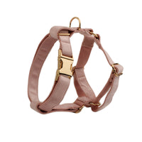 HKM-882259 Velvet Fabric Dog Collar Set with Leash, Bow, Flower, Vest, and Poop Bag - Scalable Sizes XS to XL