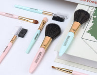 HKM-550163 5-Piece Cosmetic Brush Set with Corrugated Silk Nylon Wool Bristles, Portable Plastic Handles