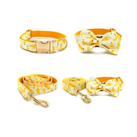 HKM-809491 Fruit Pattern Dog Collar with Gold Metal Buckle, Polyester Material, Multiple Sizes Available
