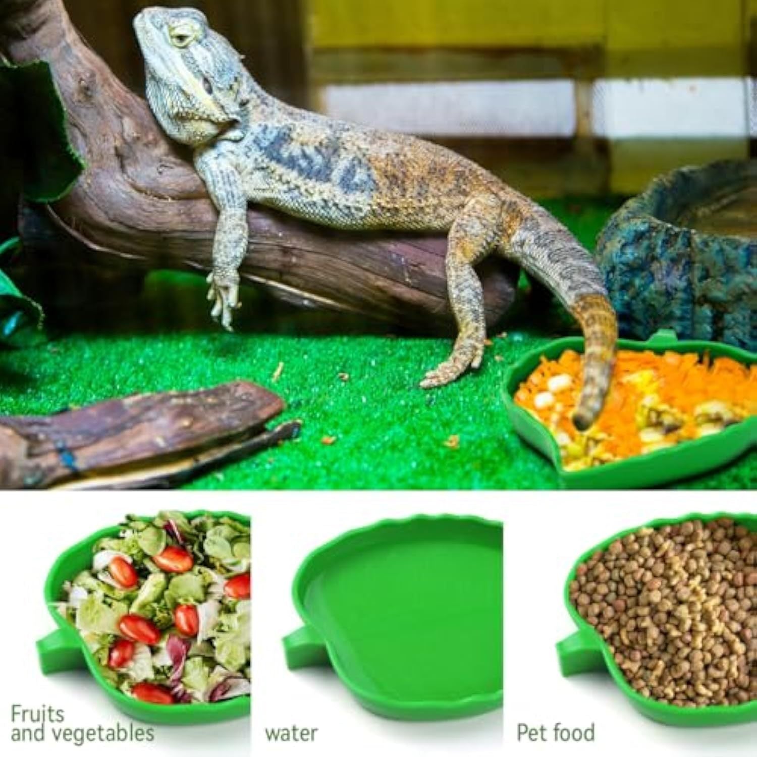 HKM-620243 Leaf-Shaped Reptile Food & Water Bowls - 2 Sizes for Tortoises, Lizards, Bearded Dragons, & Small Snakes