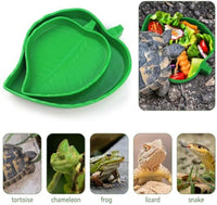 HKM-620243 Leaf-Shaped Reptile Food & Water Bowls - 2 Sizes for Tortoises, Lizards, Bearded Dragons, & Small Snakes
