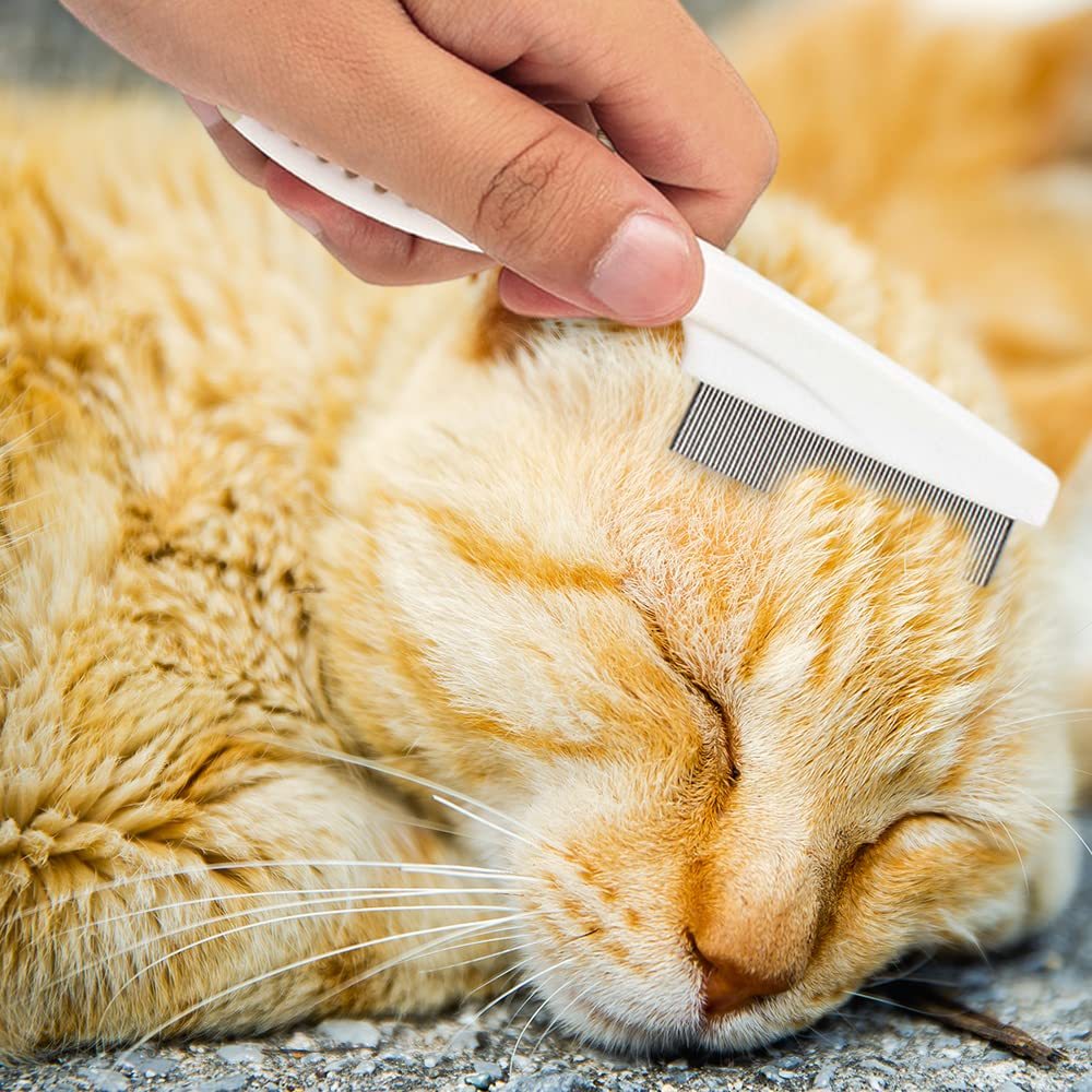 HKM-820051 Multifunctional Pet Grooming Comb for Tear Stain Removal and Tangle Management ¨C Ideal for Small Dogs and Puppies