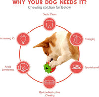 HKM-427283 Durable Strawberry Dog Chew Toy for Aggressive Chewers with IQ Training Features