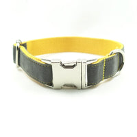 HKM-587859 Retractable Dog Collar in Bubble Color ¨C Adjustable Sizes XS to XL, Made of Durable Polyester