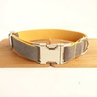 HKM-587859 Retractable Dog Collar in Bubble Color ¨C Adjustable Sizes XS to XL, Made of Durable Polyester
