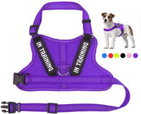 HKM-146707 Personalized Pet Harness for Comfort and Control