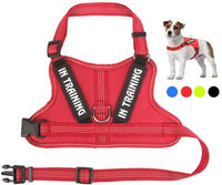 HKM-146707 Personalized Pet Harness for Comfort and Control