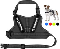 HKM-146707 Personalized Pet Harness for Comfort and Control