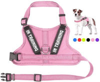 HKM-146707 Personalized Pet Harness for Comfort and Control