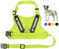 HKM-146707 Personalized Pet Harness for Comfort and Control