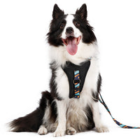 HKM-174867 Adjustable Pet Chest Strap in Blue, Red, or Wave - Sizes S to L for Dogs 5-35kg