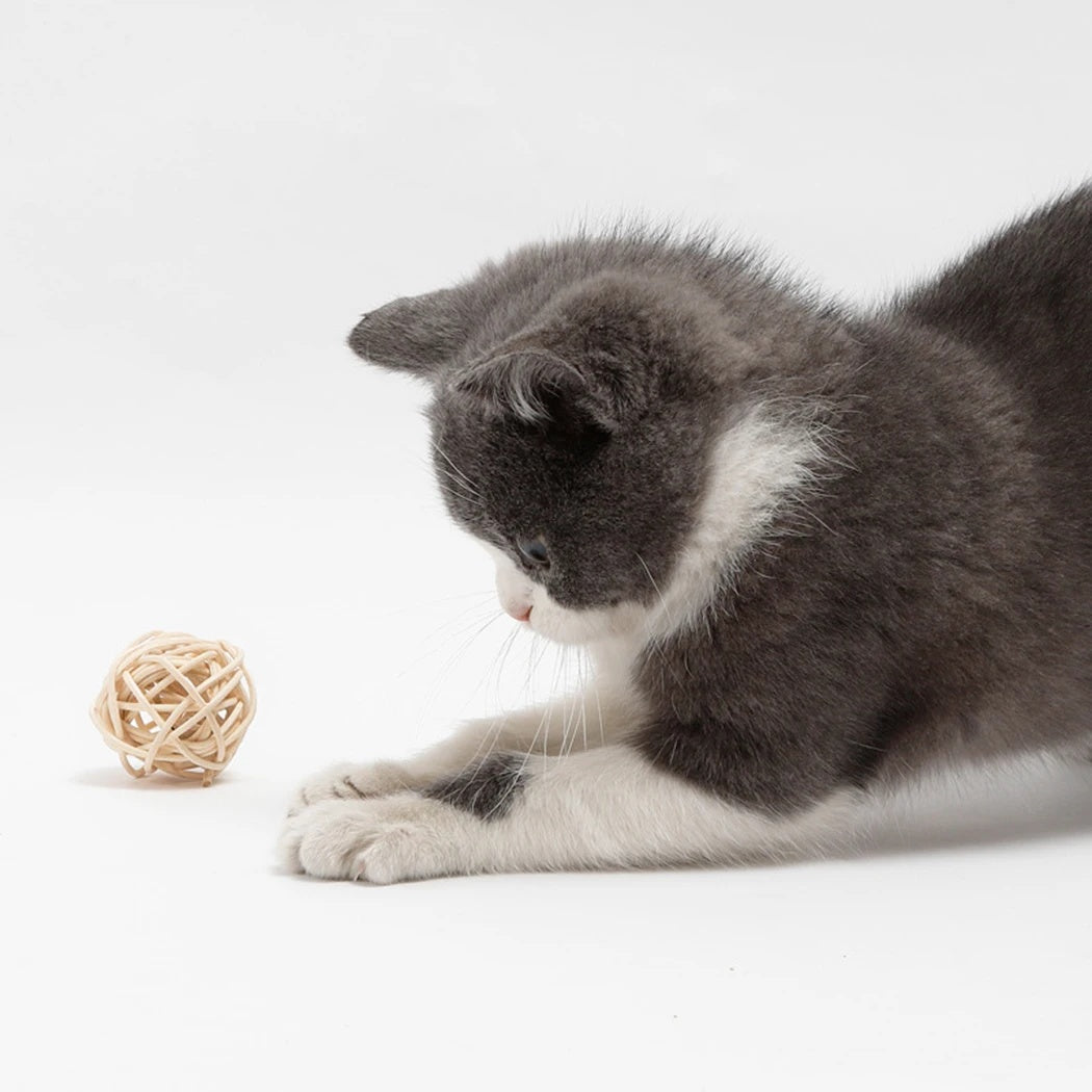 HKM-531347 Cat Rattan Ball Toy Set with Faux Feather and Bell - Interactive Play Balls for Kittens and Cats