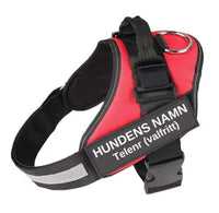 HKM-206483 Adjustable Nylon Pet Chest Strap with Leash for Dogs and Cats