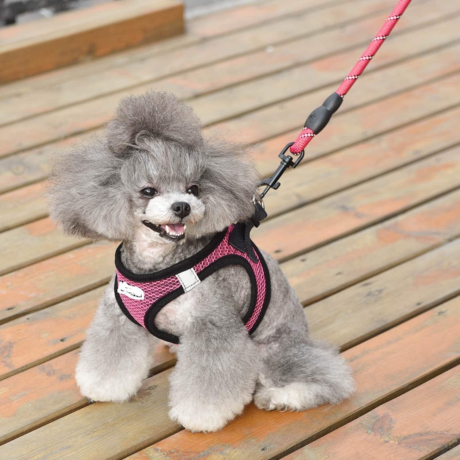 HKM-597395 Reflective Nylon Dog Leash for Enhanced Visibility and Control
