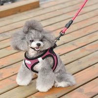 HKM-597395 Reflective Nylon Dog Leash for Enhanced Visibility and Control