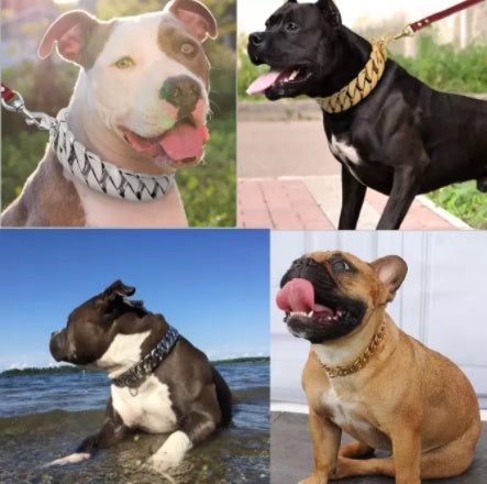 HKM-560851 Gold Stainless Steel Cast Dog Collar - Available in 40cm to 65cm Sizes
