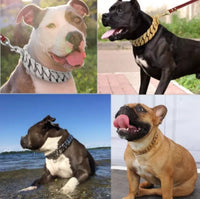 HKM-560851 Gold Stainless Steel Cast Dog Collar - Available in 40cm to 65cm Sizes
