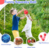 HKM-474707 Durable Squeaky Dog Ball for Aggressive Chewers - Waterproof and Interactive Chew Toy for Large Breeds