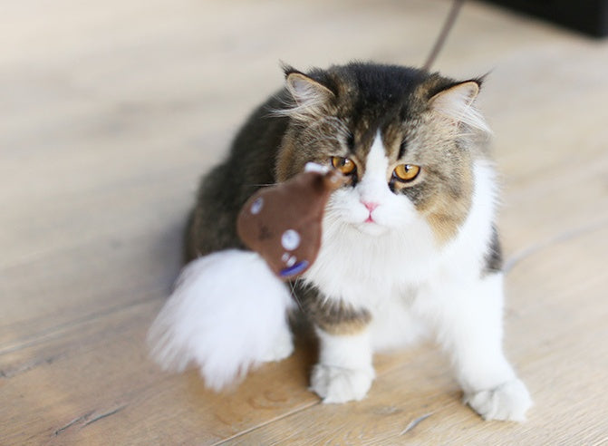 HKM-276947 Bite-Resistant Cat Teaser Stick with Plush Feather for Interactive Play