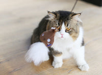 HKM-276947 Bite-Resistant Cat Teaser Stick with Plush Feather for Interactive Play