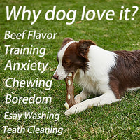 HKM-472403 Indestructible Dog Bones Chew Toy - Real Beef Flavor, Safe Nylon & Cowhide, Ideal for Aggressive Chewers of All Sizes