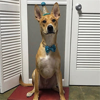 HKM-996883 Sequin Bow Tie for Dogs in Solid Colors - Blue, Rose Red, White, Red, Pink