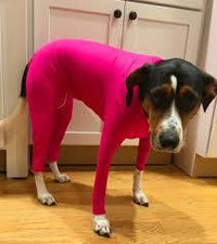 HKM-086483 All-Season Elastic Pet Apparel for Dogs and Cats in Various Colors