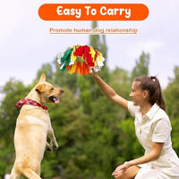 HKM-862483 Rainbow Polar Fleece Flying Disc Toy for Interactive Dog Play and Snuffle Enrichment