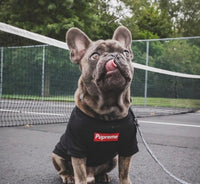 HKM-900563 Breathable Cotton Pet T-Shirt for Dogs - Available in Black and White, Sizes S to XXL