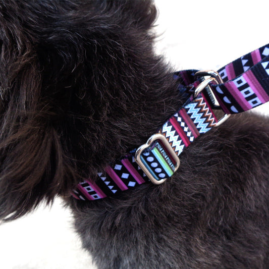 HKM-773267 Color Stripe Digital Printing Pet Leash - Casual Polyester Dog Walking Collar in Purple Arrow Gradient, Multiple Sizes Available