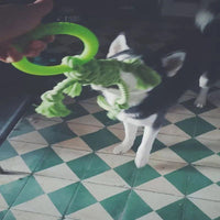 HKM-710675 Solid Color Cotton Rope Dog Chew Toy with Molar Ring - Tear-Resistant and Durable for Puppy Teeth Cleaning