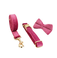 HKM-034579 Velvet Adjustable Pet Collar with Traction Rope and Bow Tie