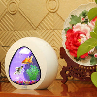 HKM-516179 Acrylic Desktop Fish Tank Aquarium - Small or Large Sizes Available