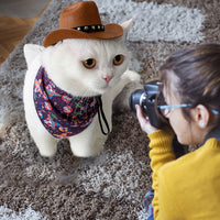 HKM-931347 Adjustable Star Cowboy Hat for Cats and Dogs - Soft Non-Woven Fabric Pet Cap for Photo Shoots and Festive Events
