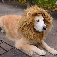 HKM-728979 Pet Lion Mane Wig Costume for Dogs and Cats - Warm Winter Apparel with Ear Detail, Adjustable Size