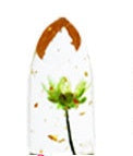 HKM-940243 Temperature Change Lipstick with Dried Flowers, Moisturizing Formula, 3.8g
