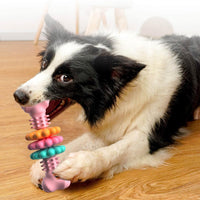 HKM-825939 Durable TPR Dog Chew Toy Bone for Dental Health and Stress Relief - Ideal for Small to Large Breeds