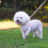 HKM-450515 Adjustable Suede Dog Harness with Comfortable Leash in Multiple Color Combinations