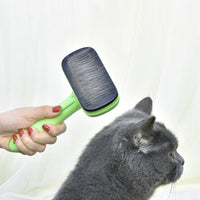 HKM-884435 Automatic Pet Hair Removal Brush - Eco-Friendly ABS & TRP Material, Fruit Green, Compact Size 19.5*10.7*5.8CM, Lightweight 160g