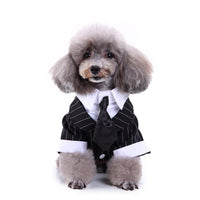 HKM-881299 Stylish Polyester Dog Suit for Small to Extra Large Breeds, Casual England-Inspired Design
