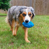 HKM-325523 Durable Rubber Puppy Chew Ball with Squeaker for Aggressive Chewers - Ideal for Medium and Large Dogs