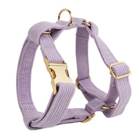 HKM-983699 Soft Fabric Velvet Dog Collar with Accessories for XS to XL Sizes