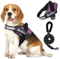 HKM-081171 Couple's Dog Chest Strap and Lead Rope Set in Durable Polyester