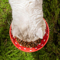 HKM-434195 Mushroom Design Ceramic Cat Bowl for Small Pets in Polka Dot Style