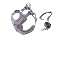 HKM-173715 Nylon PET Strap Collar and Traction Rope for Small to Medium Pets