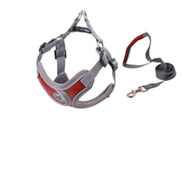 HKM-173715 Nylon PET Strap Collar and Traction Rope for Small to Medium Pets