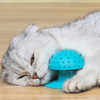 HKM-104211 Cat Self Grooming Brush and Scratcher with Cat Mint - Eco-Friendly Pet Hair Remover for Cats and Kittens